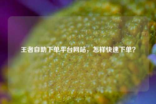 王者自助下单平台网站，怎样快速下单？