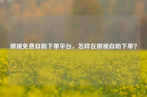 微视免费自助下单平台，怎样在微视自助下单？