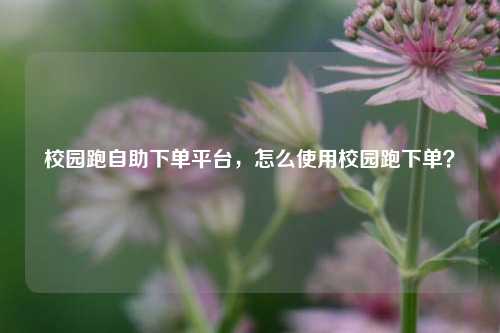 校园跑自助下单平台，怎么使用校园跑下单？