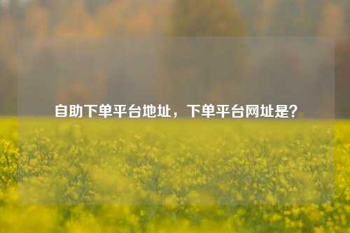 自助下单平台地址，下单平台网址是？