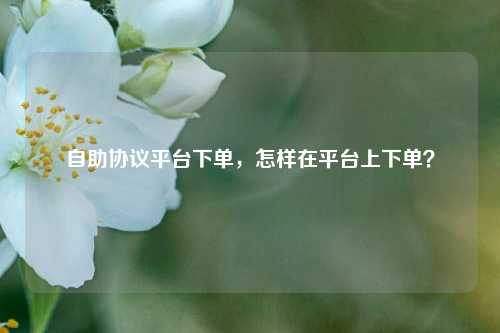 自助协议平台下单，怎样在平台上下单？
