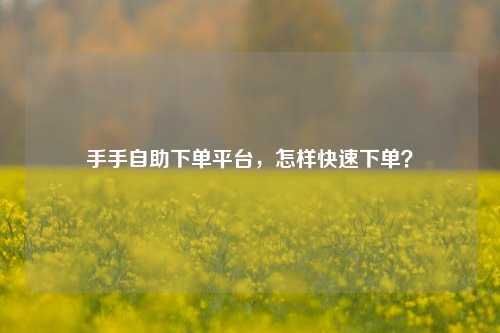 手手自助下单平台，怎样快速下单？
