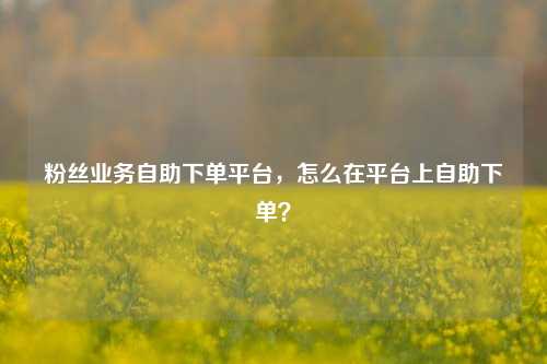 粉丝业务自助下单平台，怎么在平台上自助下单？