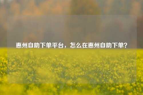惠州自助下单平台，怎么在惠州自助下单？