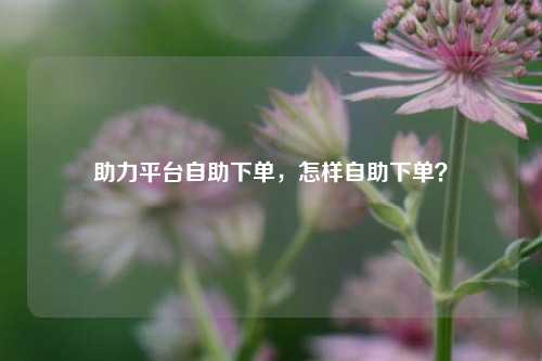 助力平台自助下单，怎样自助下单？