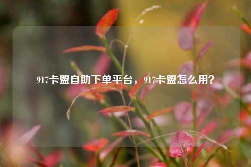 917卡盟自助下单平台，917卡盟怎么用？