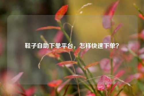 鞋子自助下单平台，怎样快速下单？