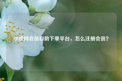 小虎网会员自助下单平台，怎么注册会员？
