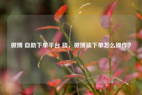微博 自助下单平台 琰，微博琰下单怎么操作？