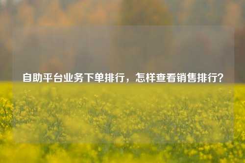 自助平台业务下单排行，怎样查看销售排行？