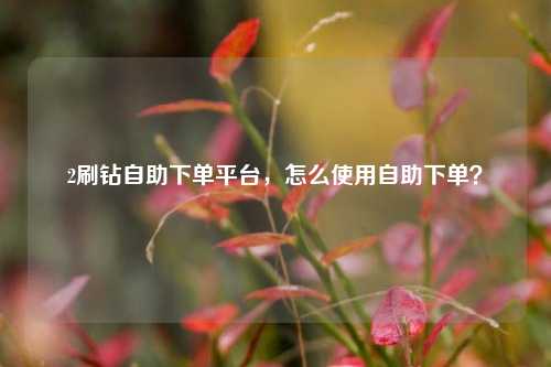 2刷钻自助下单平台，怎么使用自助下单？